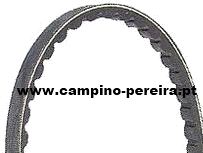 SKF CORREIA